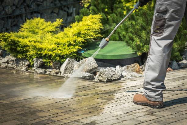 Best Solar Panel Cleaning  in Celoron, NY