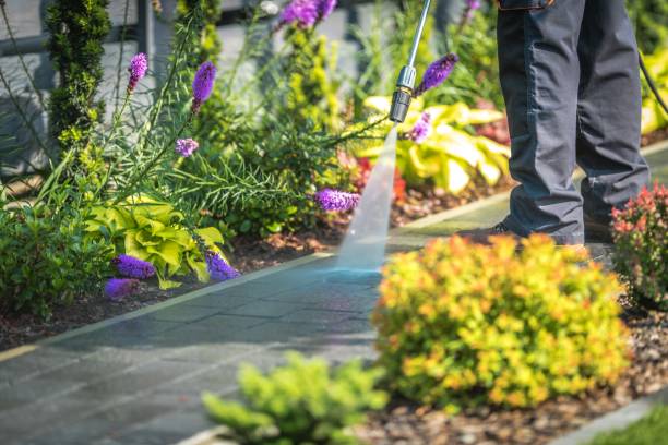  Celoron, NY Pressure Washing Pros