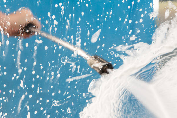 Best Animal Enclosure Cleaning  in Celoron, NY