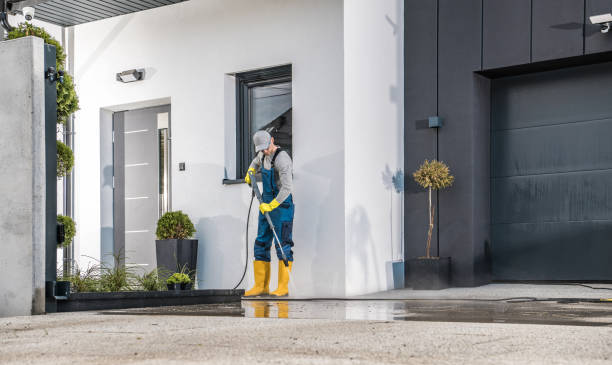 Best House Exterior Washing  in Celoron, NY